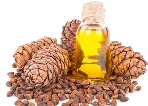 usos y beneficios del aceite esencial de pino para la salud