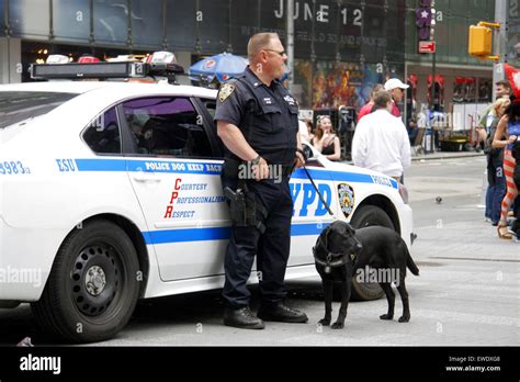 Nypd K 9 Unit Police Dog And Handler Times Square Manhattan New York