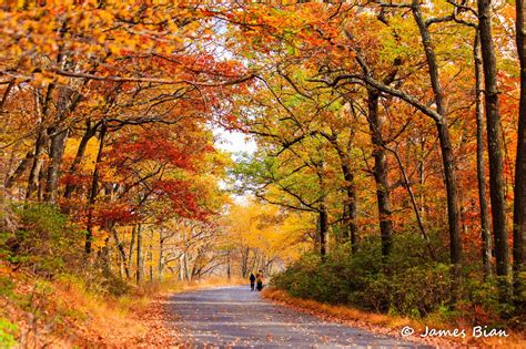 Late Autumn By James Bian 500px Autumn Landscape Autumn Scenes