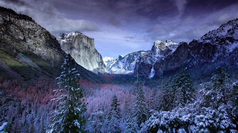 1366x768 Snow Forests Yosemite Scenery 4k 1366x768 Resolution Hd 4k