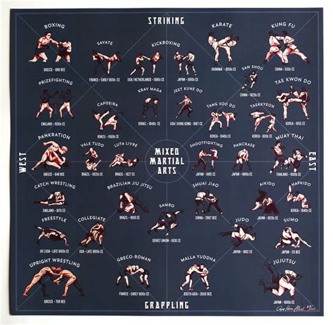 mixed martial arts a style guide r coolguides