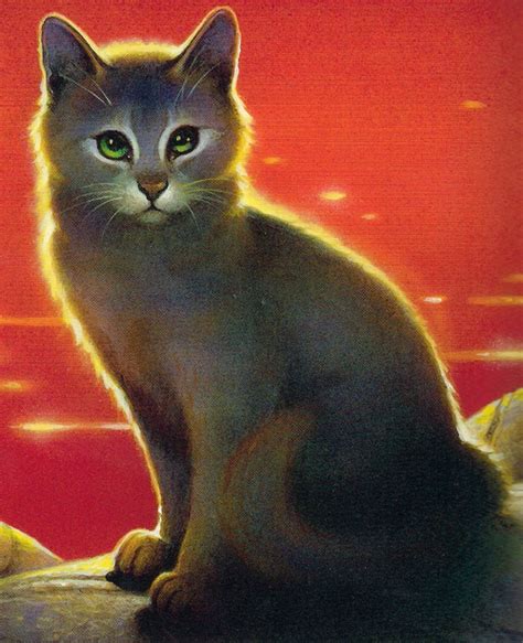 Fluss Anführer Warrior Cats Wiki Erin Hunter Buchreihe Katzen