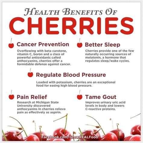 Health Benefits Of Cherries Cherries Healthy Organic Cherry