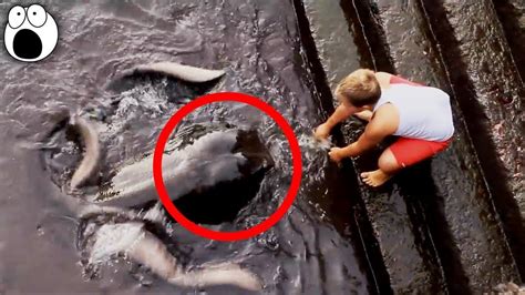 Cool Top 10 Strangest Creatures Ever Caught On Camera Weird Creatures