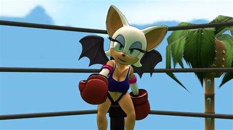 Amy Vs Rouge Presentation Of Rouge By Anotherpunisher On Deviantart