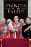 Princes of the Palace - Prinții de la palat (2016) Film online ...
