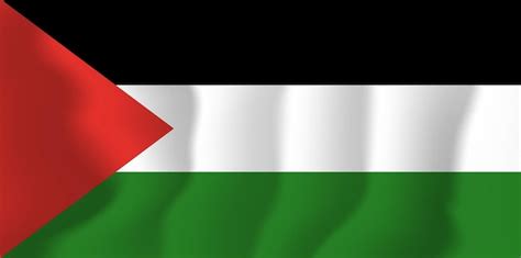 Premium Vector Palestine Waved Flag Vector Illustration Background