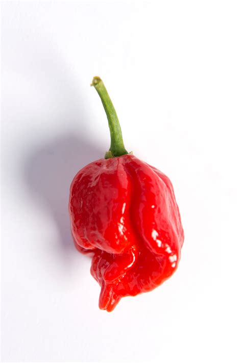 Hottest Chillies In The World The Scoville Scale In Pictures Life