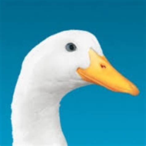 My special aflac duck has won a 2019 sxsw interactive innovation awards. AFLAC Cancer Care Pays Your Bills During Treatment | Piedmont Business Leaders Greensboro.