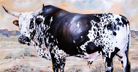 Terry Kobus Originals Gallery Nguni Bull Kalahari