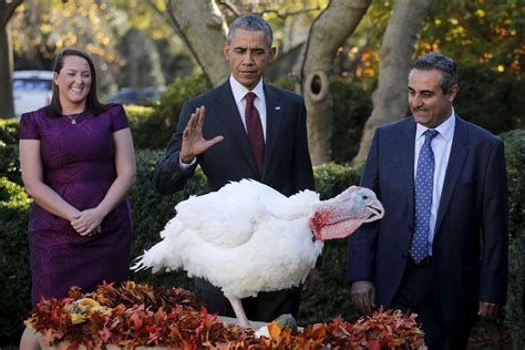 a look at the history of the white house turkey pardon as obama prepares to pardon his eighth