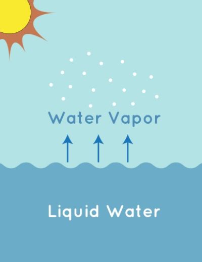 Answers to all these questions and many more interesting facts about evaporation are found in this article. evaporation, evaporation meaning, define evaporation ...