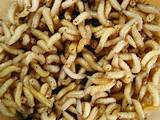 Images of Termite Poop Pictures