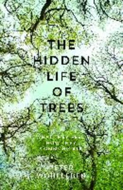 The Hidden Life Of Trees Peter Wohlleben Isbn 9780008218430 De
