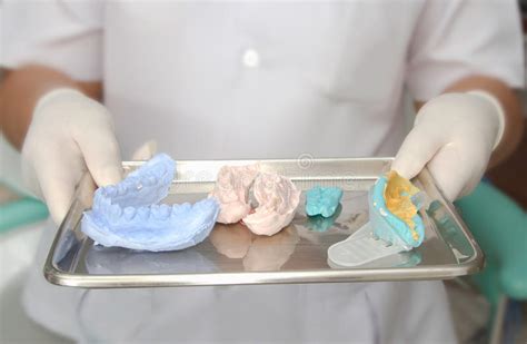 Dental Models And Dental Imprint Silicone Material Stock Image Image