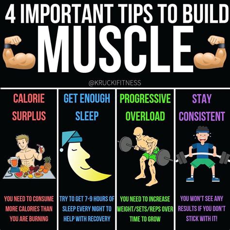 10 Rules For Building Muscles On Bulking Phase Build