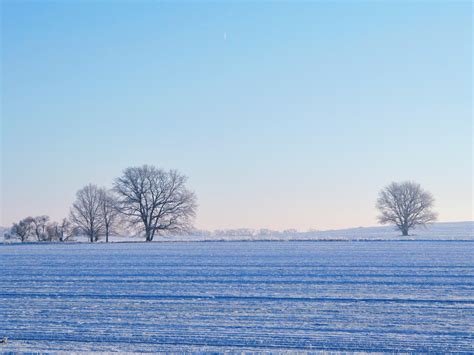 Free Images Landscape Tree Horizon Snow Winter Field Sunlight