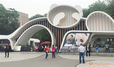 Travel With Yanny Chengdu Panda Base One Day Trip
