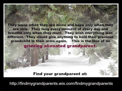 Pin On Grandparent Grandchild Alienation