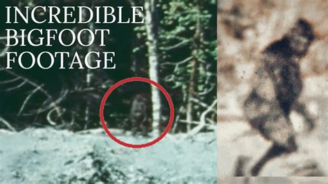 The Most Impressive Bigfoot Footage Ever Recorded Sasquatch Caught On