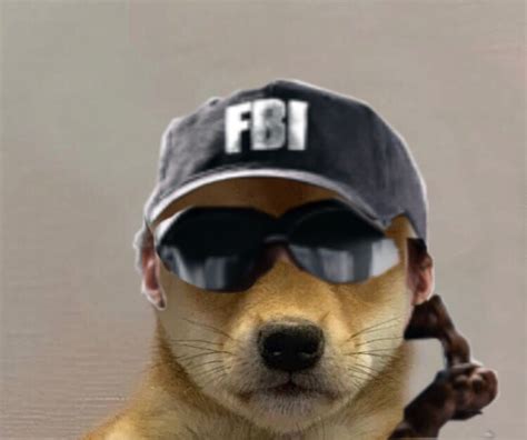 The Best 25 Dog With Hat Meme R6 Aboutmediafix