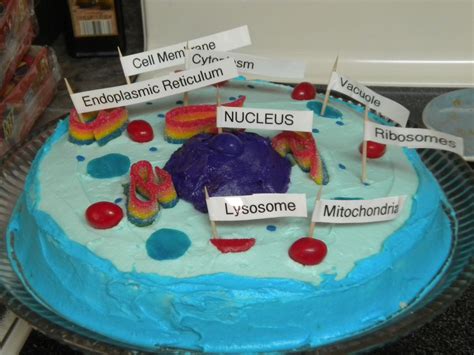 Check spelling or type a new query. Edible Animal Cell cake | Cells project, Edible animal ...