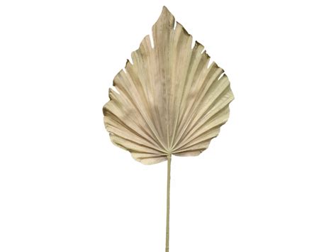 Palm Leaf Dried Look Silk Wedding Bouquets And Artificial Flowers