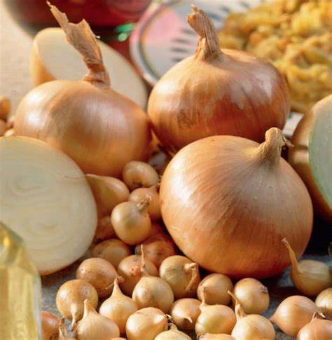 Onion And Garlic Bulbs