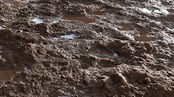 muddy ground with small puddles of water on it and dirt in the foreground