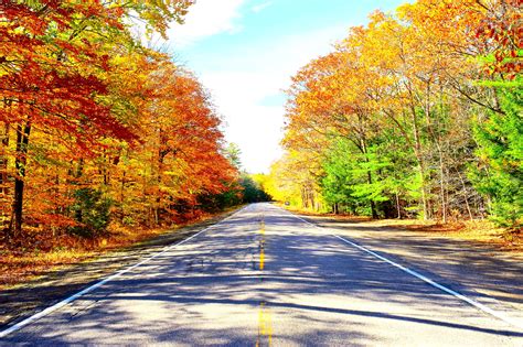 Best Fall Foliage Drives In New Hampshire: Scenic Tours Of Autumn 