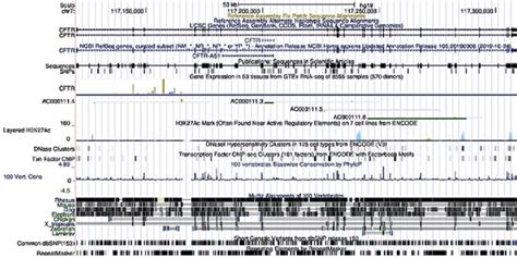 The Structure And Location Of The Cftr Gene On Chromosome 7 Is Shown