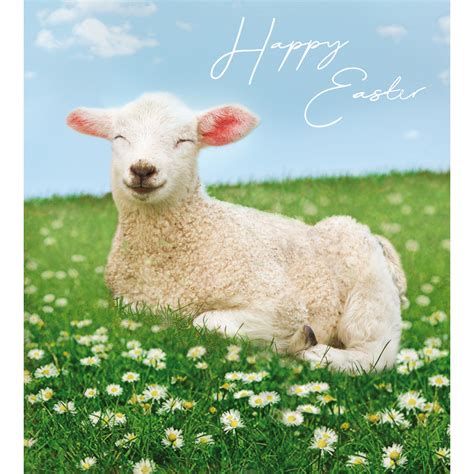 Pack Of 5 Spring Lamb Happy Easter Greetings Cards Cards