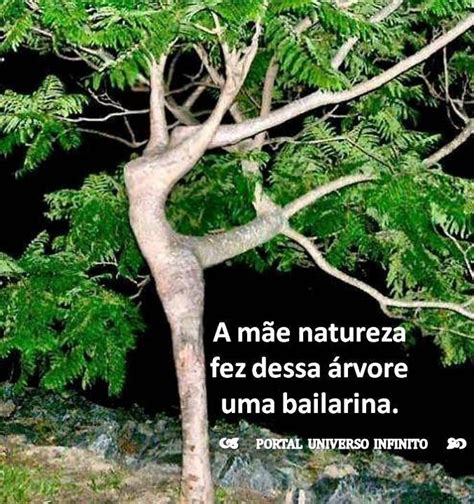 Cuidando Da Natureza