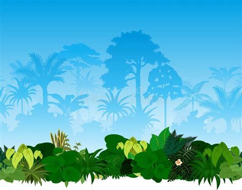 Vector Tropical Rainforest Jungle Stock Vector Illustration Of