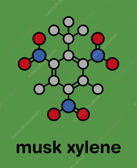 Musk Xylene Molecule Stock Image C045 7799 Science Photo Library