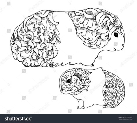 Diy guinea pig cage baby guinea pigs baby pigs baby bunnies farm animal coloring pages dog coloring page guinea pig mask coloring page from guinea pig category. Mother Baby Guinea Pig Zentangle Page Stock Vector ...