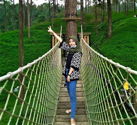 Menikmati Sensasi Keindahan Di Hutan Pinus Limpakuwus Indonesia Traveler