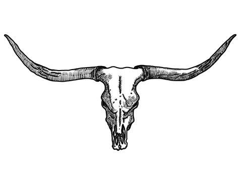 Bull Tattoos Bull Skull Tattoos Cow Skull Drawing