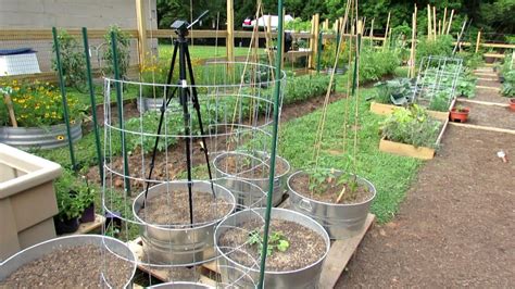 10 Trellising Options For Containers And Earth Beds Tomatoes Cucumbers