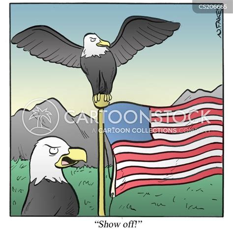 Bald Eagle Cartoon America