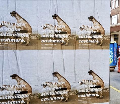 Naadam Sustainable Cashmere Posters Creative Works The Drum