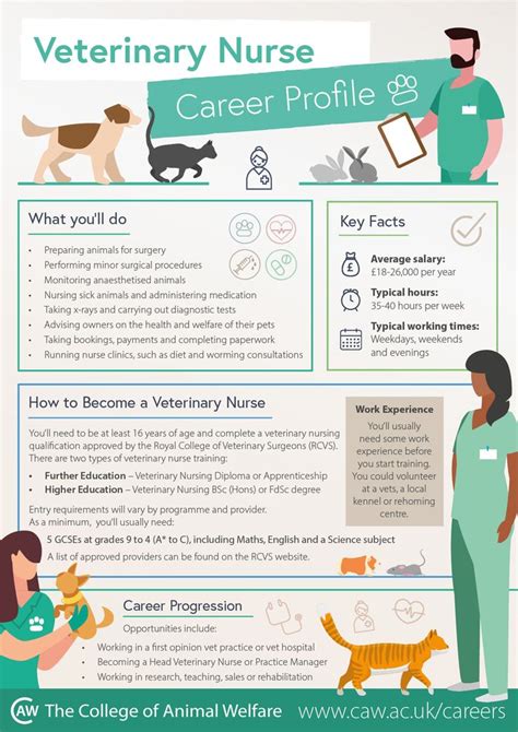 Veterinary Nursing Career Infographic Vet Tech School Vet Tech