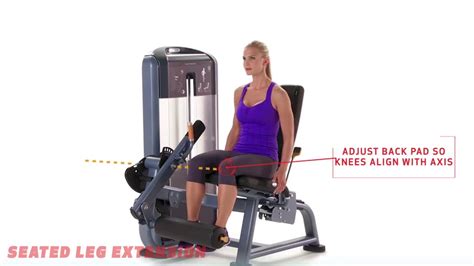 Seated Leg Extension Youtube