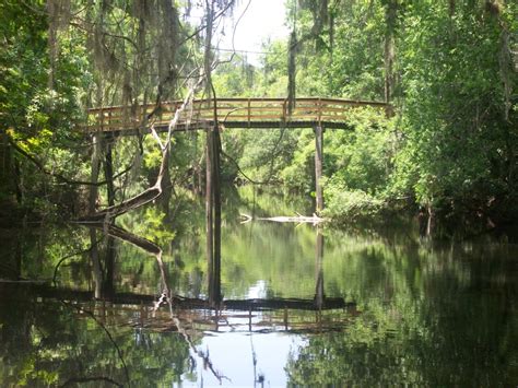 Wooden Bridge At Hillsborough River State Park Near Tampa Fl