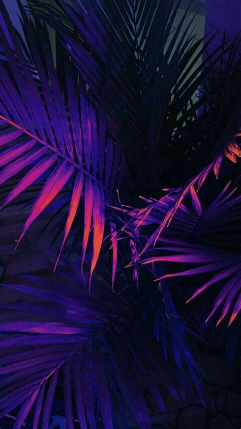 Purple Palm Leaves Neon Purple Palm Tree Hd Phone Wallpaper Pxfuel