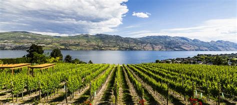 Top 15 Things To Do On Your Kelowna Vacation Canadian Traveller