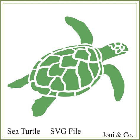 Beach Svg Summer Turtle Svg Turtle Iron On Decal Svg Dxf Png Cut Files