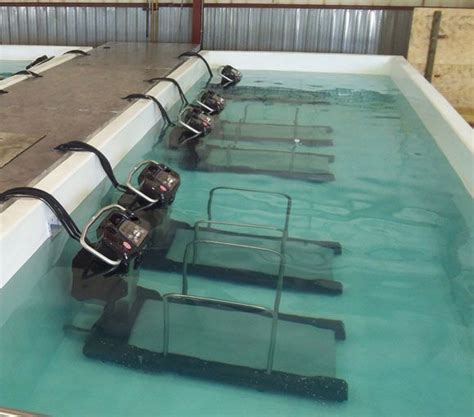 Underwater Treadmills Amazing Home Gym Design Fitness Aquatic Therapy