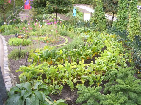 Edible Gardening Verdant Earth