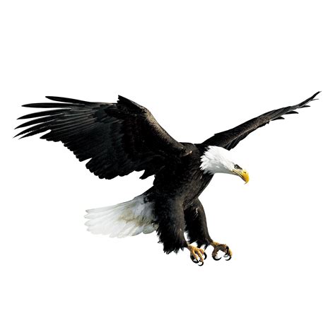 15 Top Photos Free Fire White Eagle Png Free Fire Png Vector